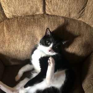 Meet your Posher, Macayla